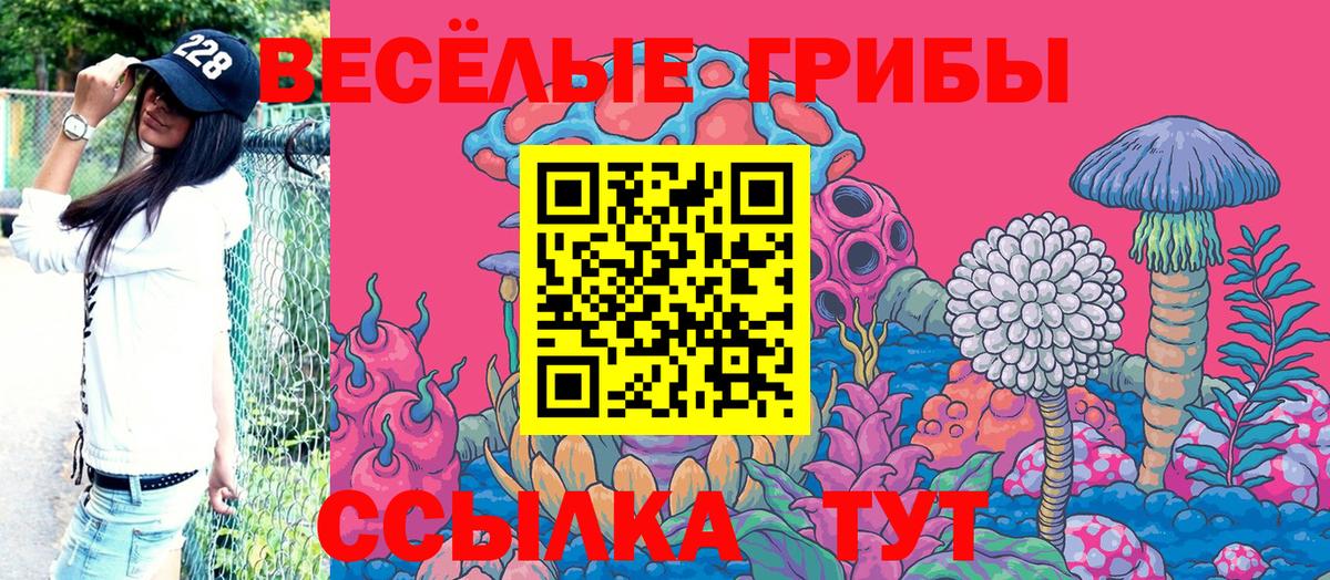 Галлюциногенные грибы мицелий  Вход с VPN  Дальнереченск 