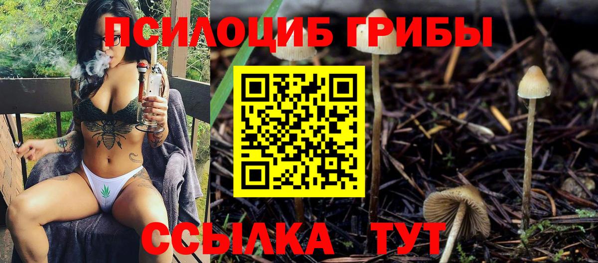 Галлюциногенные грибы GOLDEN TEACHER Дальнереченск